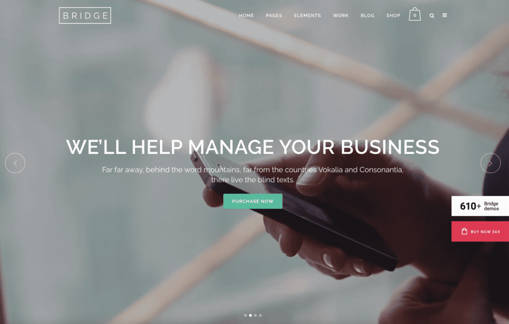 thème woocommerce bridge