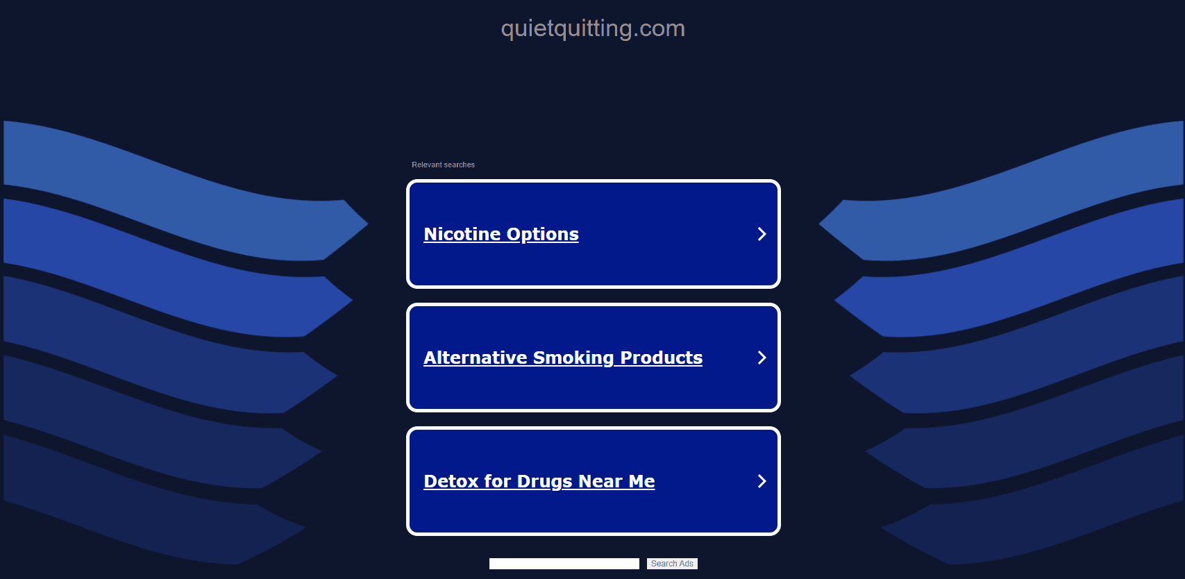 Vous pouvez vous retrouver sur un domaine parqué si vous ajoutez accidentellement une extension d'URL à un mot clé, comme « quietquitting.com ».