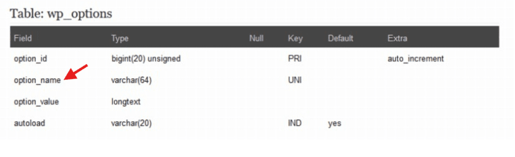WP_options tableau