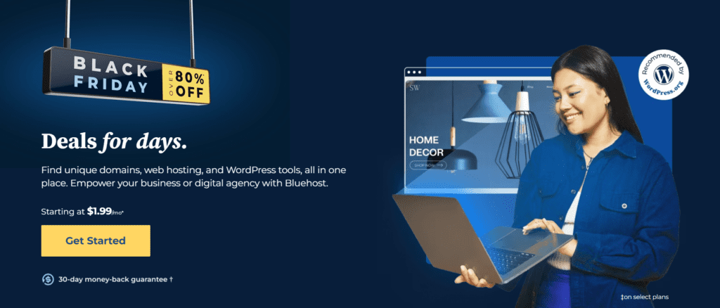 Vente Black Friday sur le site Web Bluehost