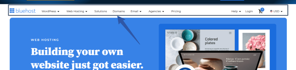 En-tête Bluehost