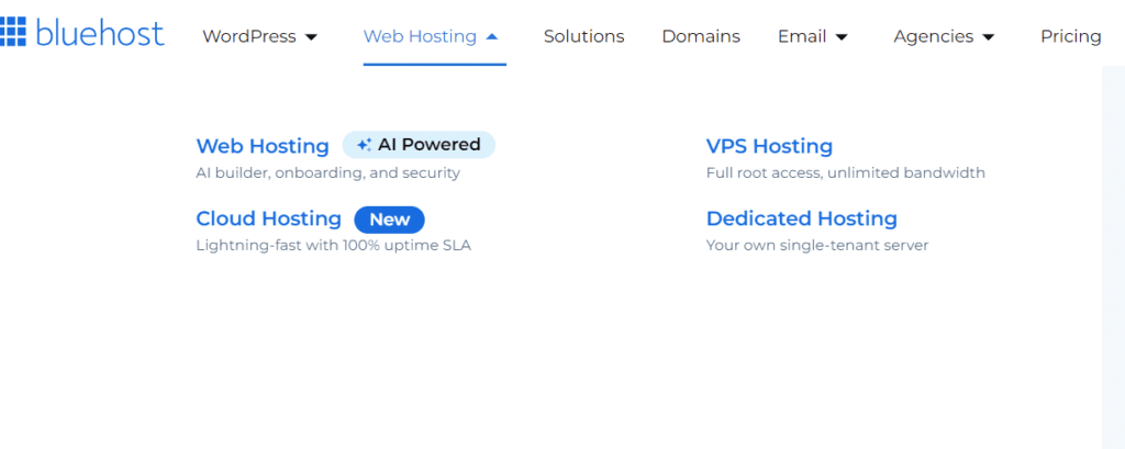 Diverses options d’hébergement Web Bluehost