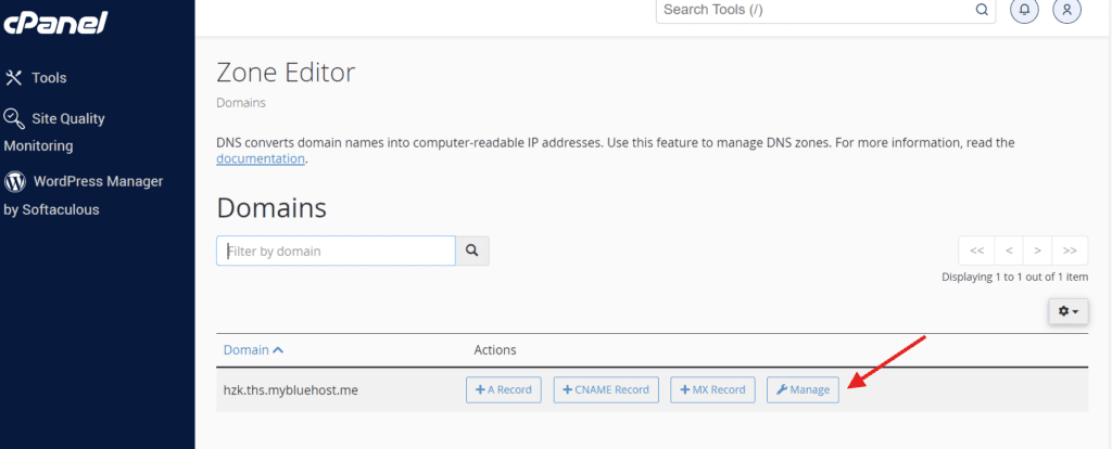 Onglet de l’éditeur de zone dans cPanel