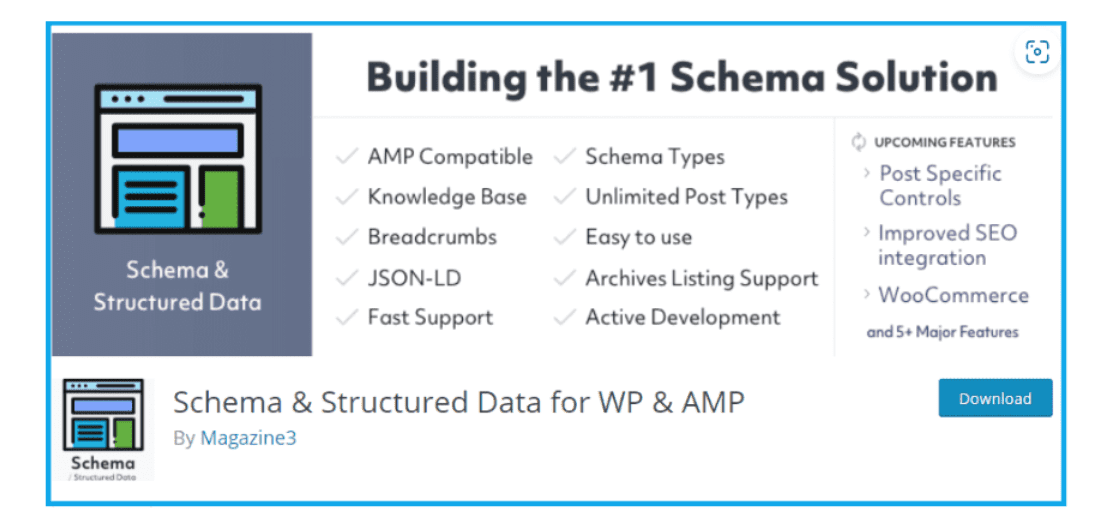 Schéma et données structurées pour WP et AMP  