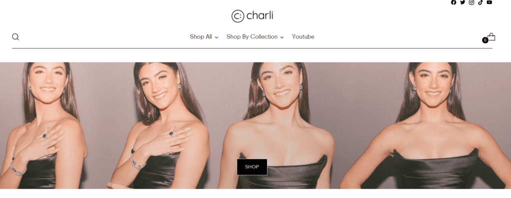 Site web de Charli D’Amelio