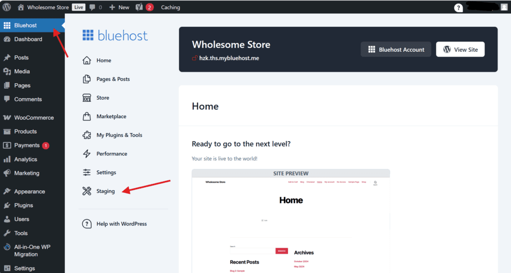Menu Bluehost