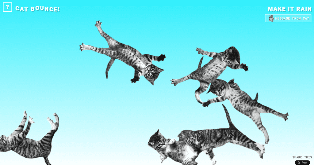 Rebond du chat