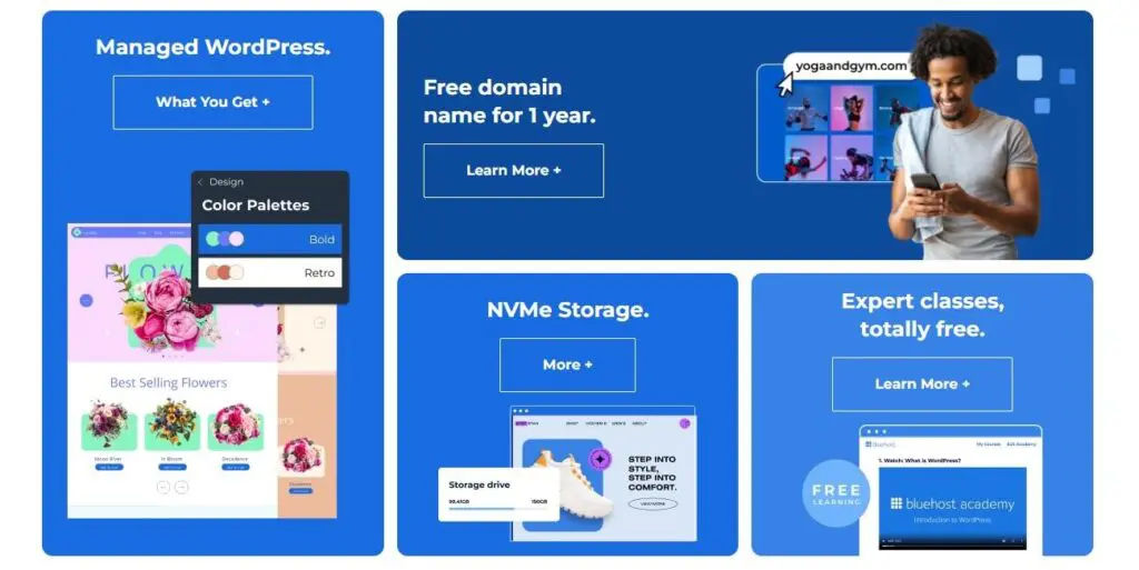 Bluehost